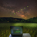 Fireflies at Lost Valley